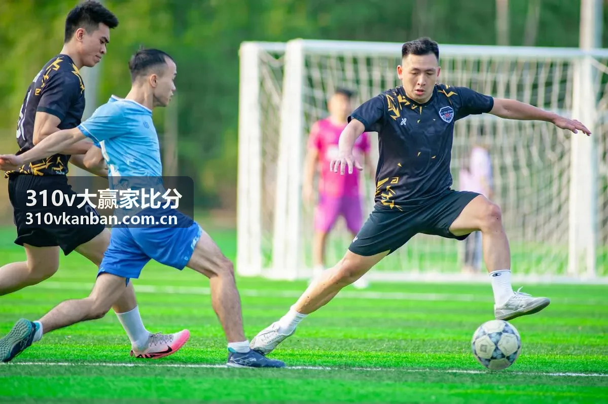 310v大赢家比分-欧冠淘汰赛资讯